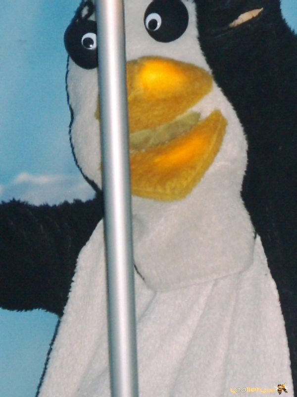 10.01.2003 – MEC Hannover – Bild 41