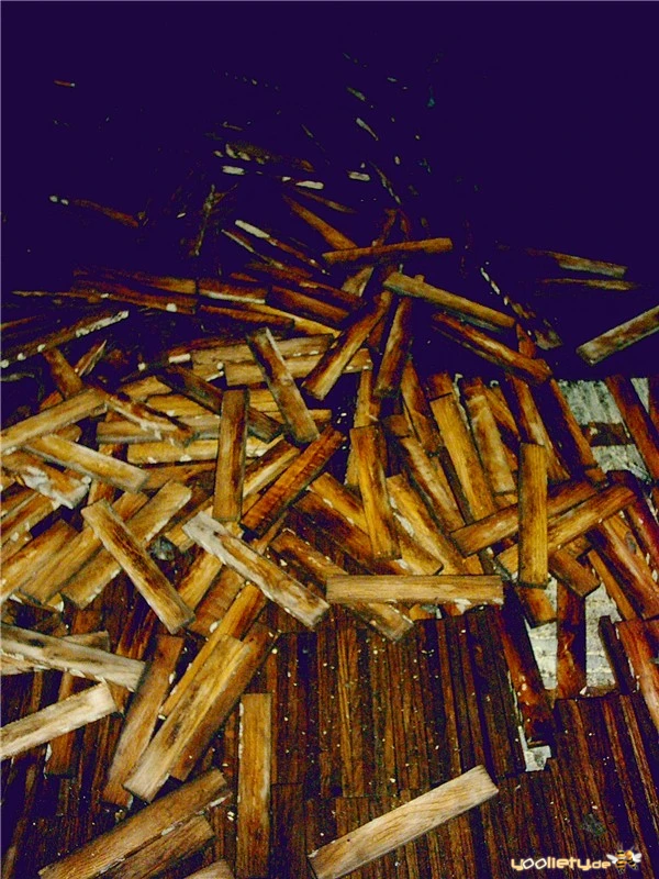 28.06.2003 – Nachtarena Bielefeld – Bild 52